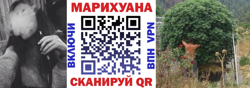 Купить где  Пушкино  Конопля гибрид 